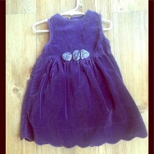 2T Girl Gymboree purple velvet teen dress rosettes